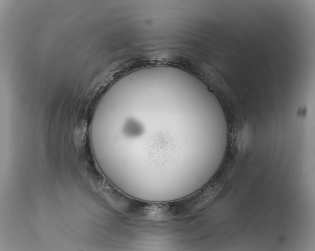 X0000113110660200909111116