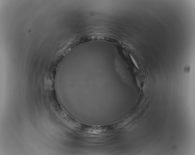 X0000113110661200909111116