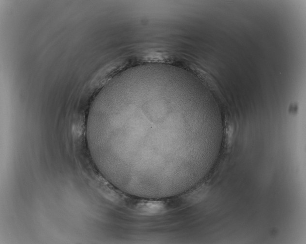 X0000113110665200909111116