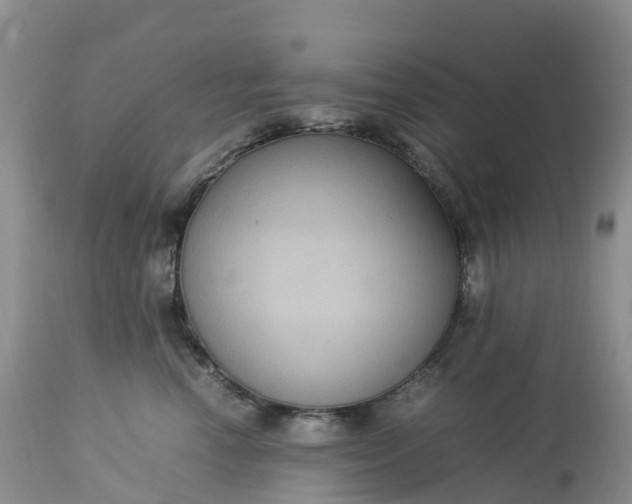 X0000113110666200909111116