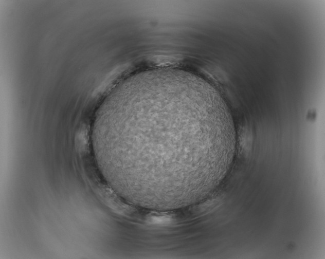 X0000113110667200909111116