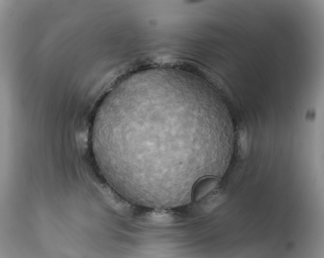 X0000113110668200909111116