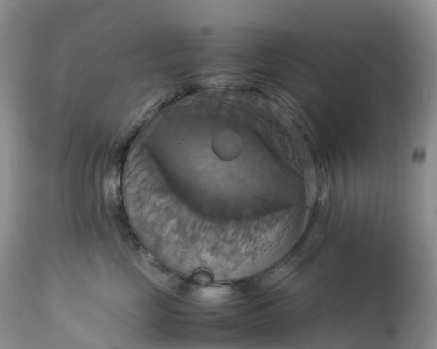X0000113110669200909111116