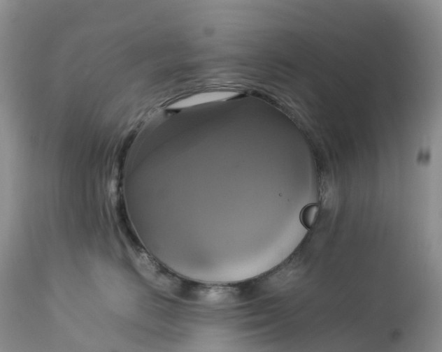 X0000113110670200909111116