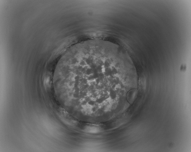 X0000113110671200909111116