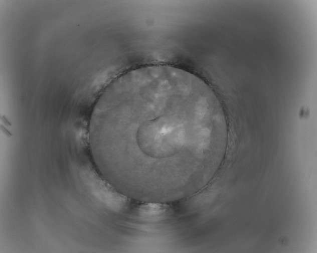 X0000113110672200909111116