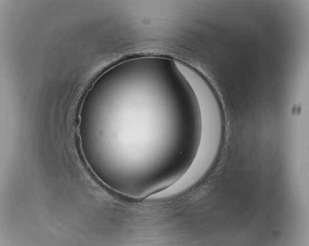 X0000113110673200909111116