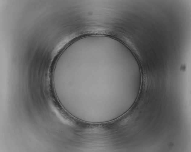 X0000113110674200909111116