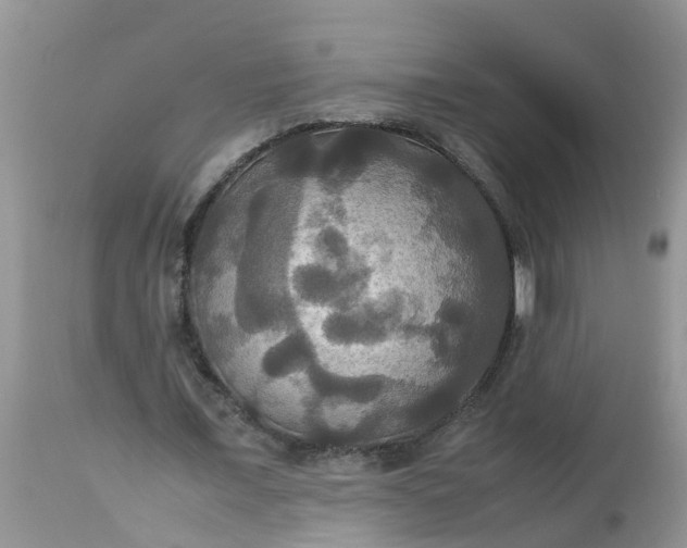 X0000113110675200909111116