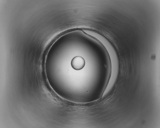 X0000113110676200909111116