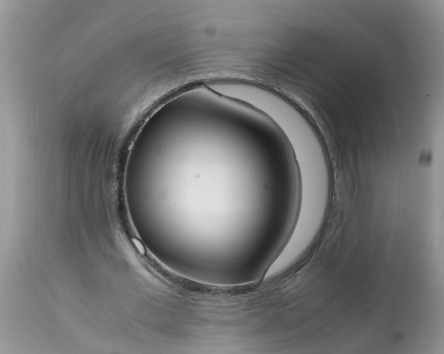 X0000113110677200909111116