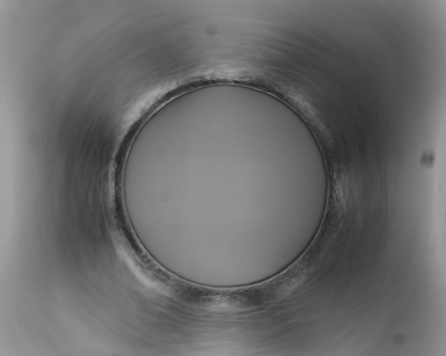 X0000113110678200909111116