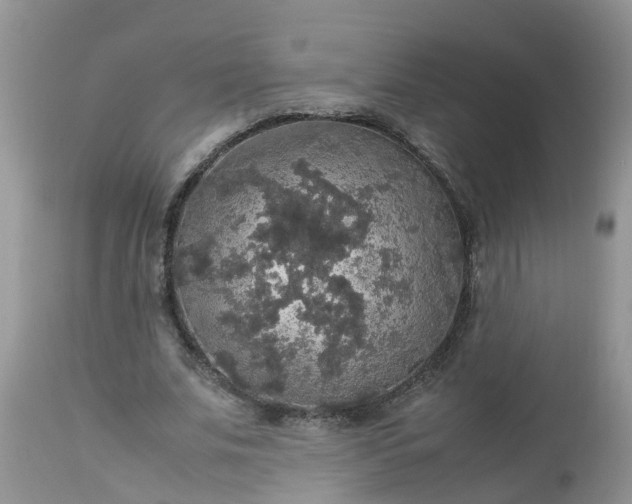X0000113110679200909111116