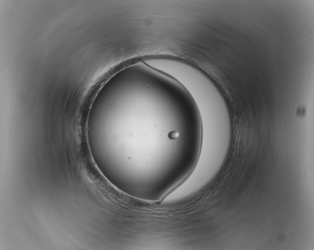 X0000113110680200909111116