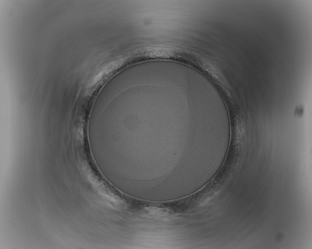 X0000113110681200909111116