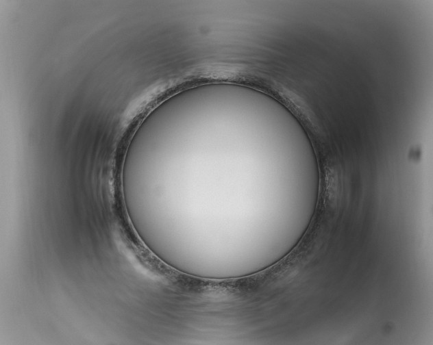 X0000113110682200909111115