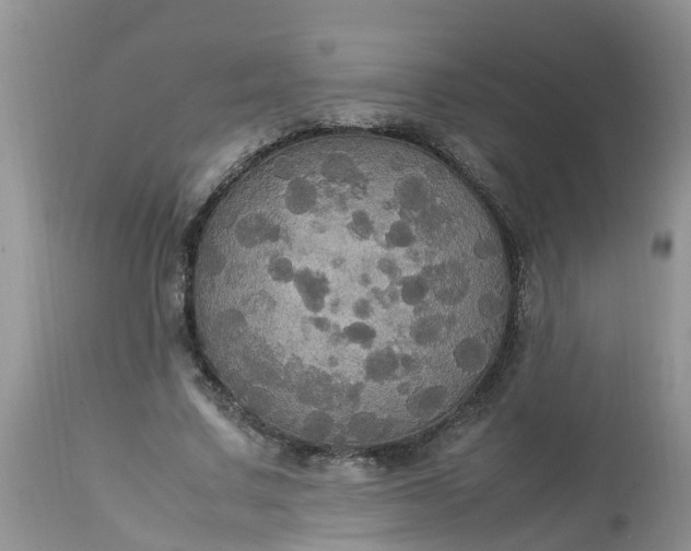 X0000113110683200909111115