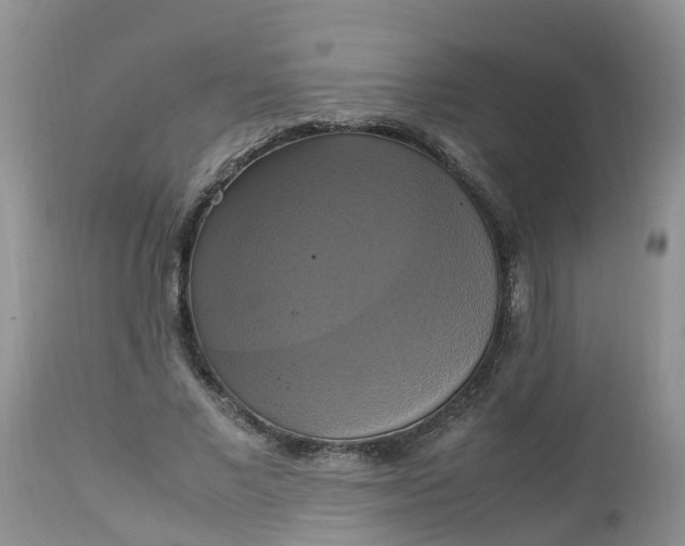 X0000113110685200909111115