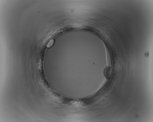 X0000113110689200909111115