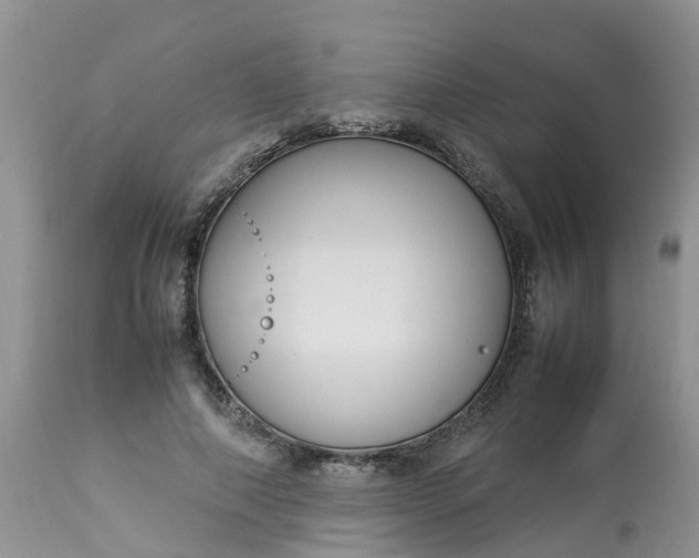 X0000113110690200909111115