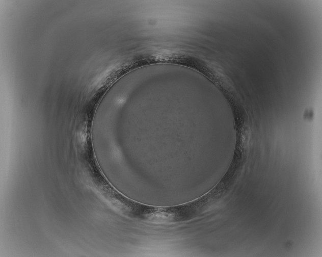 X0000113110691200909111115