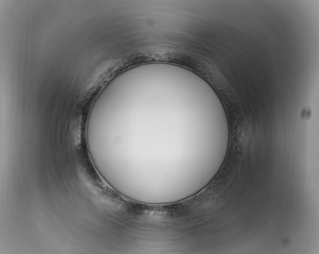 X0000113110694200909111115