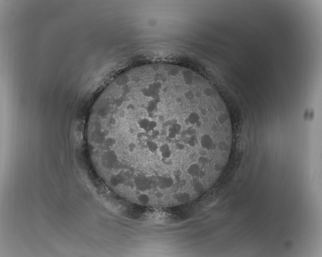 X0000113110695200909111115