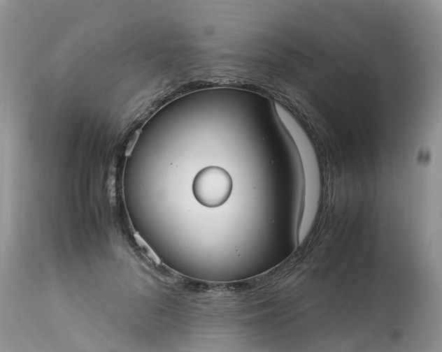 X0000113110696200909111115