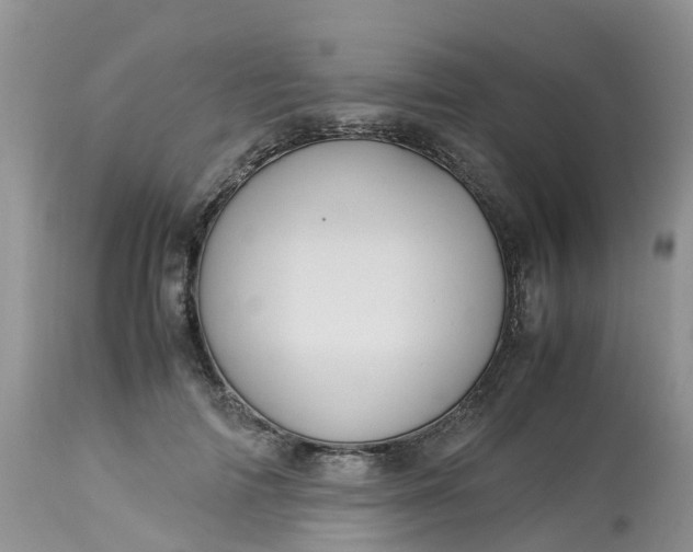 X0000113110698200909111115