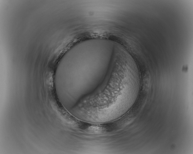X0000113110699200909111115