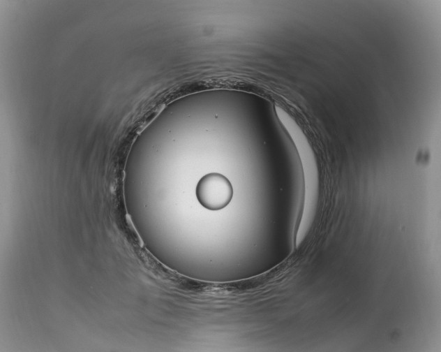 X0000113110701200909111115