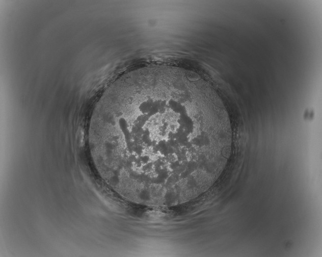X0000113110703200909111115