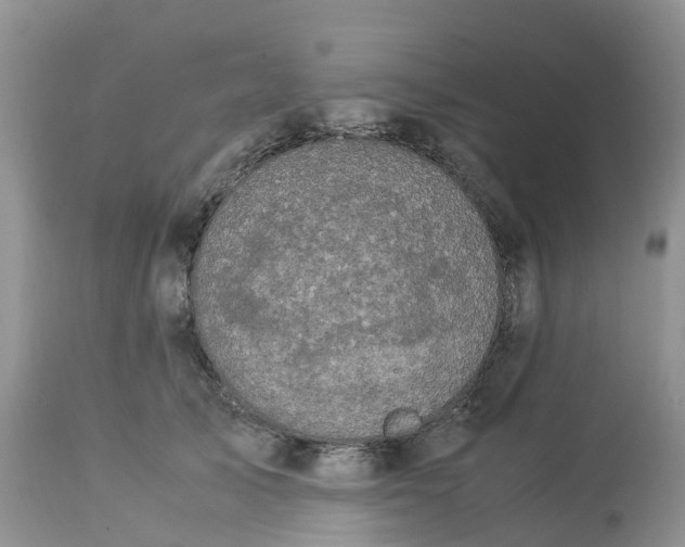 X0000113110705200909111115