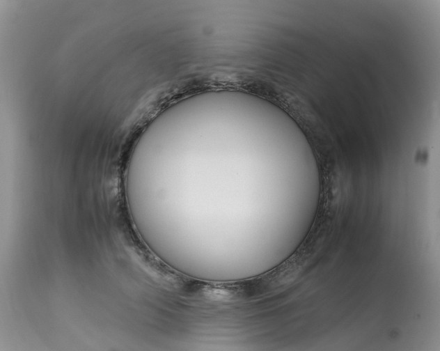 X0000113110706200909111115