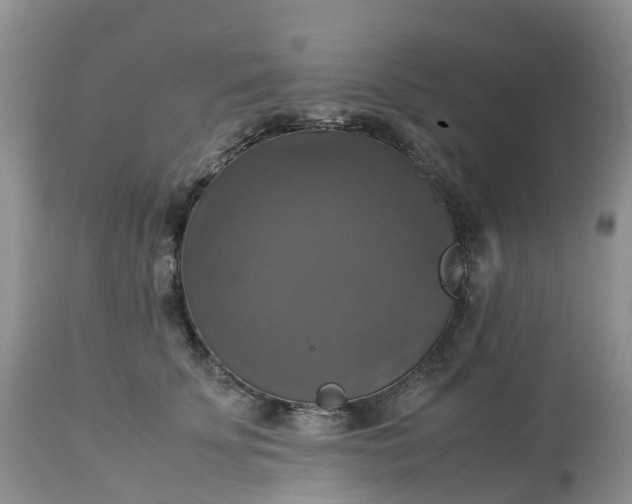 X0000113110707200909111115
