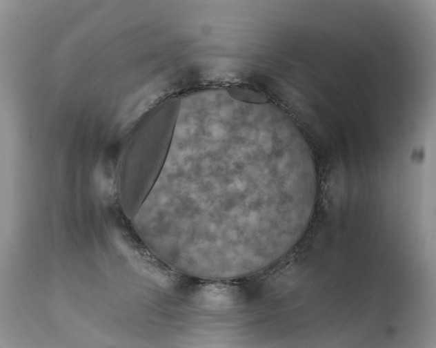 X0000113110708200909111115