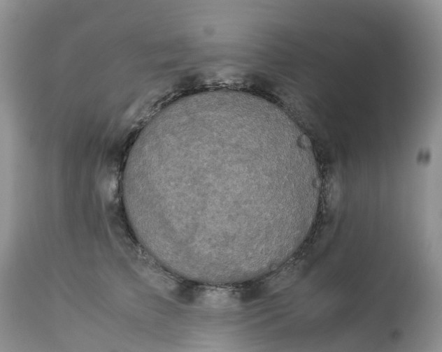 X0000113110709200909111115