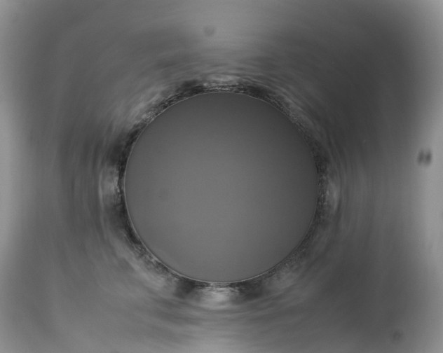 X0000113110711200909111115