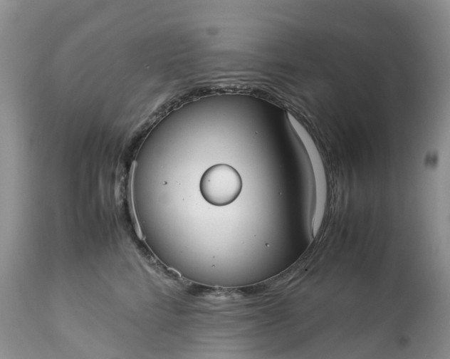 X0000113110712200909111115