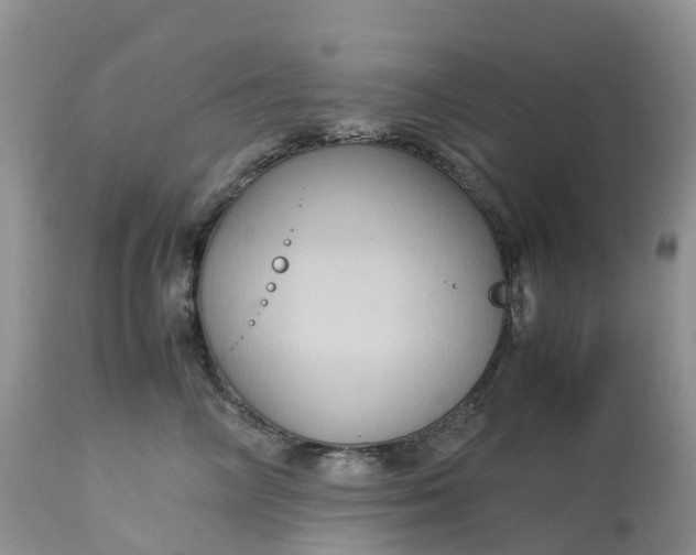 X0000113110714200909111115