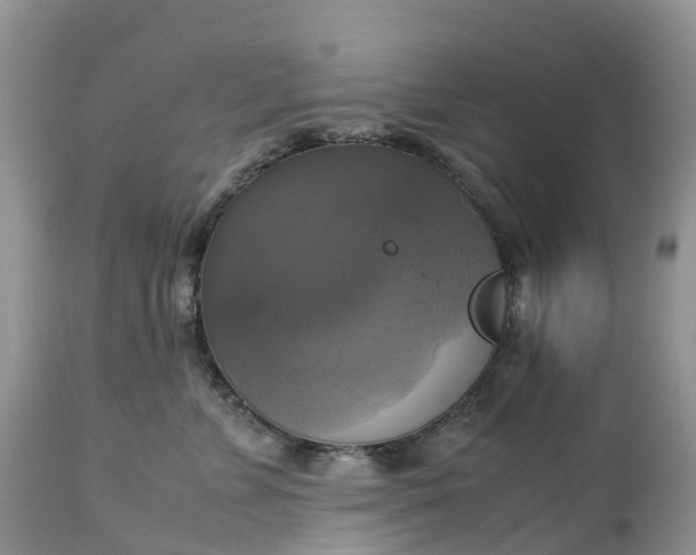 X0000113110715200909111115