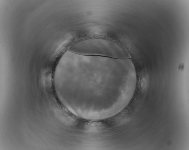 X0000113110716200909111115
