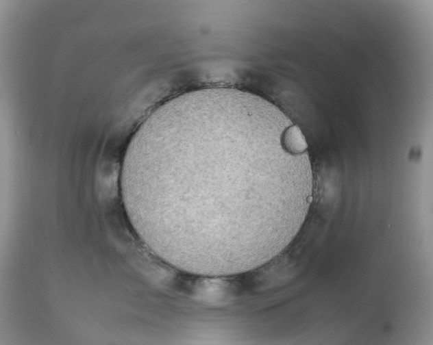 X0000113110717200909111115