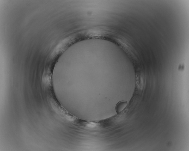 X0000113110718200909111115