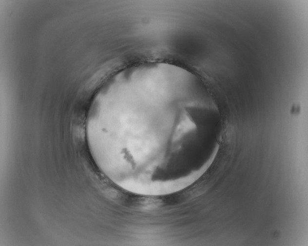 X0000113110719200909111115