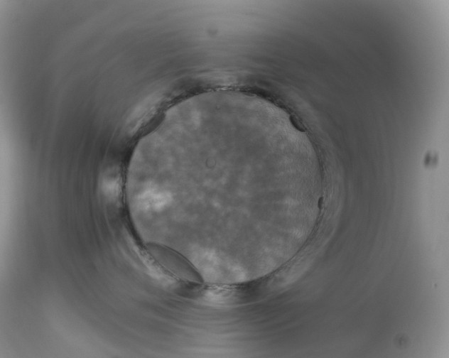 X0000113110720200909111115