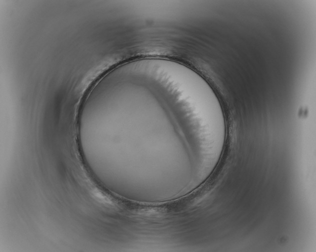 X0000113110721200909111114