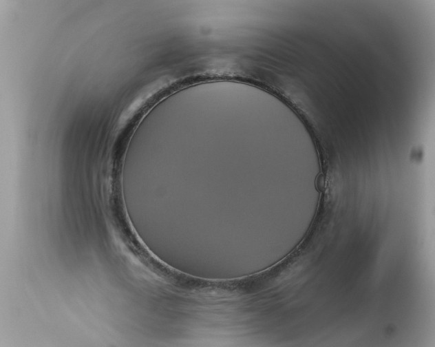 X0000113110722200909111114