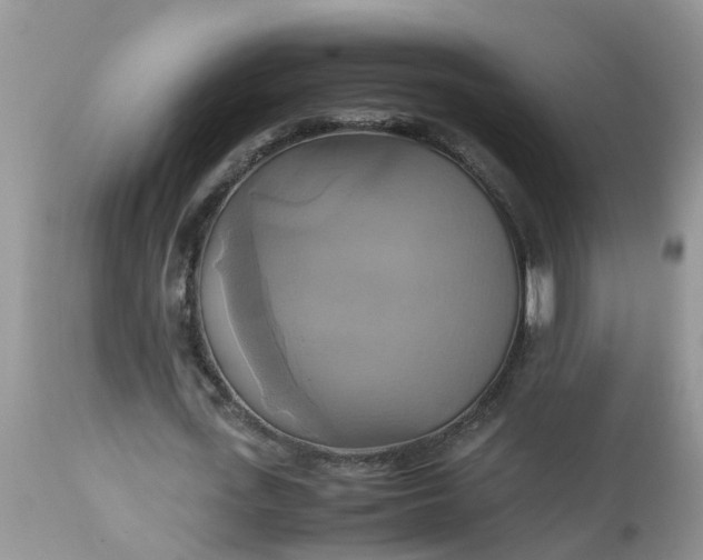 X0000113110723200909111114