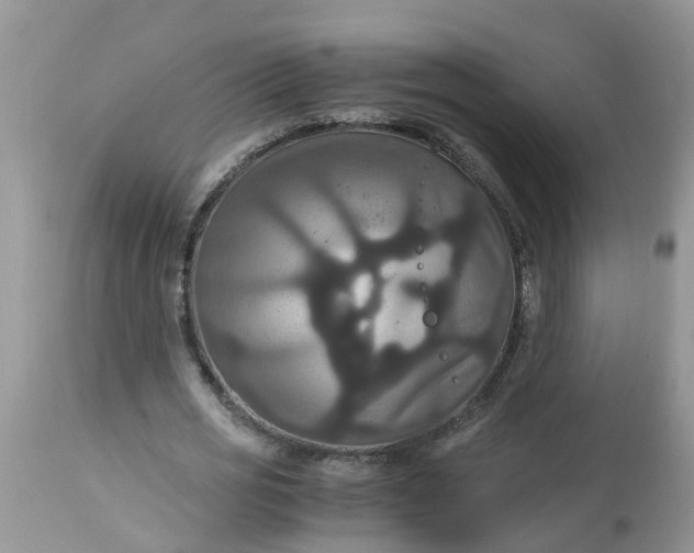 X0000113110725200909111114